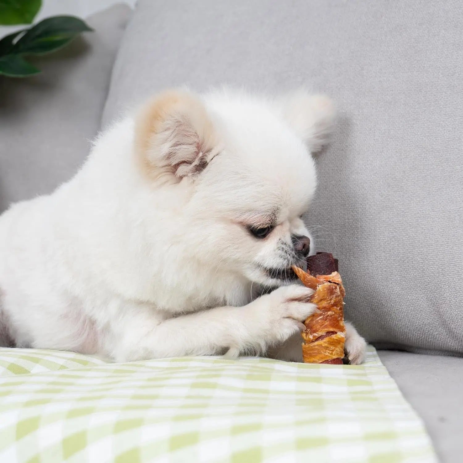 Triple Flavor Rawhide-Free Dog Treat Rolls for Small Dogs, 16 Pack