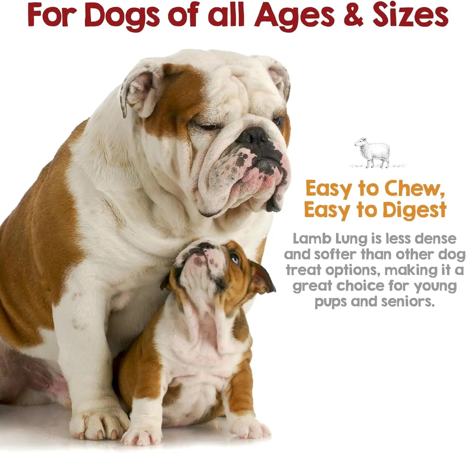 Riley’s Dehydrated Lamb Lung Dog Treats – Single Ingredient