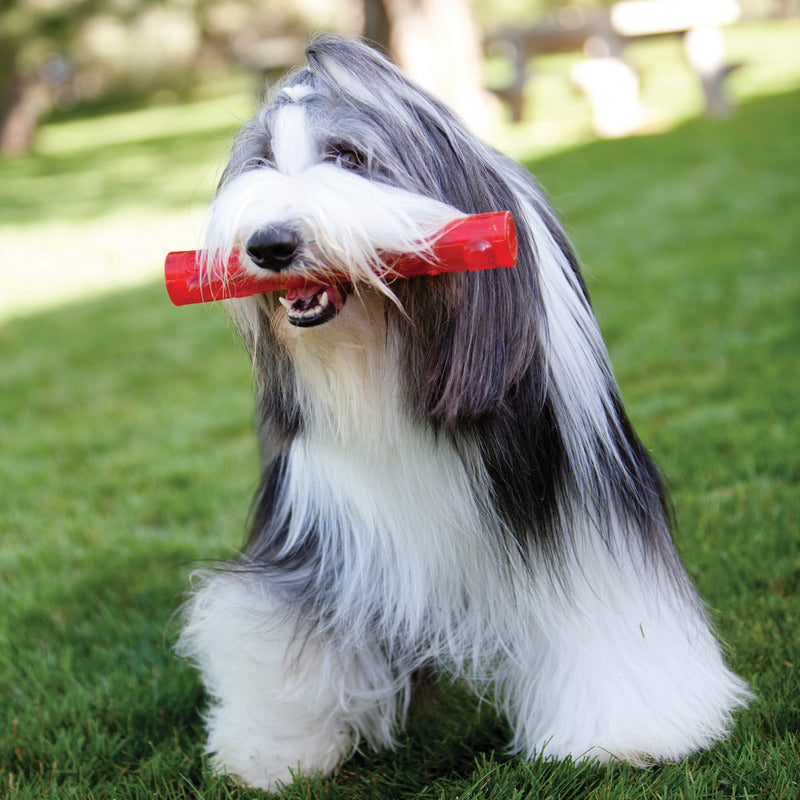 KONG Squeezz Ring Dog Toy with Recessed Squeaker