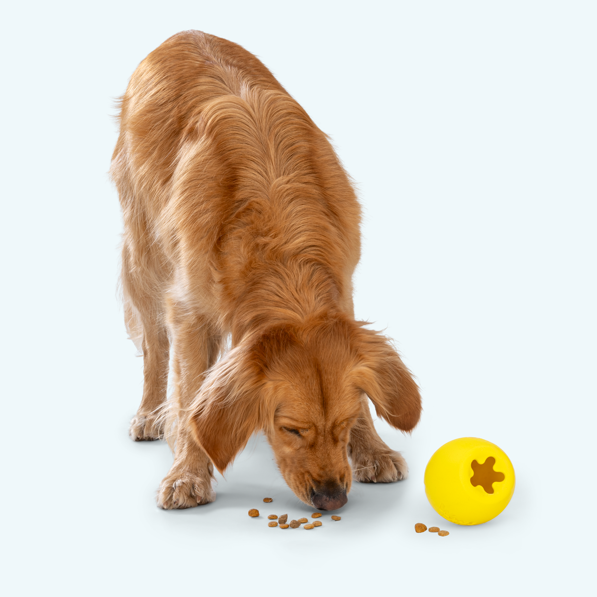 Zogoflex Echo Rumbl Treat-Dispensing Dog Puzzle Toy