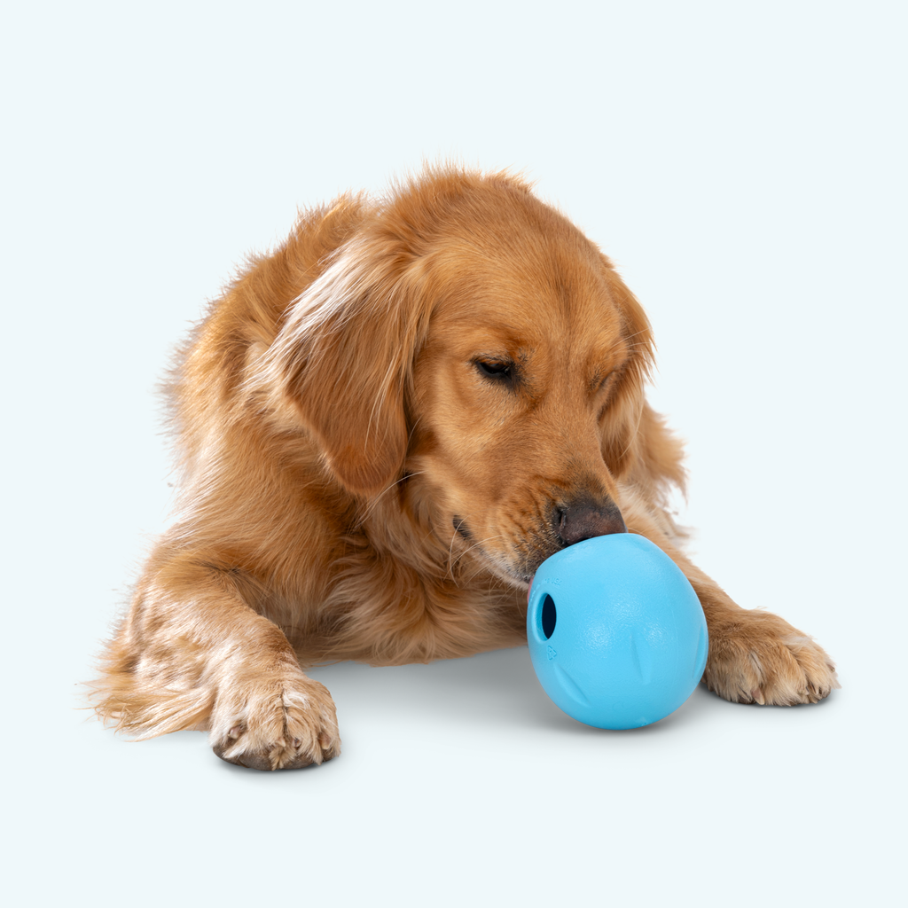 Zogoflex Echo Rumbl Treat-Dispensing Dog Puzzle Toy