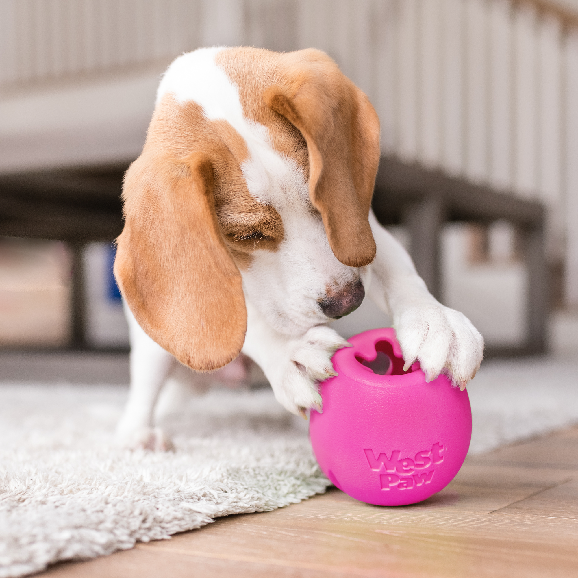 Zogoflex Echo Rumbl Treat-Dispensing Dog Puzzle Toy