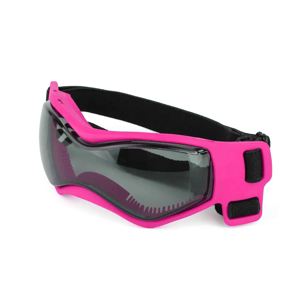 Pet UV Goggles: Cool Eyewear for Dogs & Cats