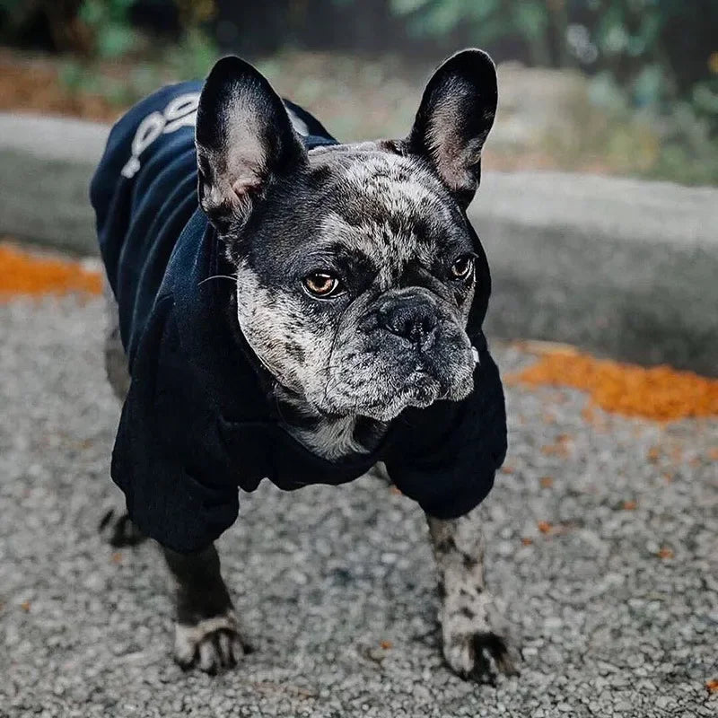 Pet Dog Hoodies The Dog Face