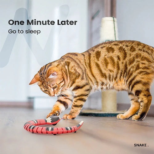 Interactive Electronic Cat Toy for Indoor Play and Enrichment