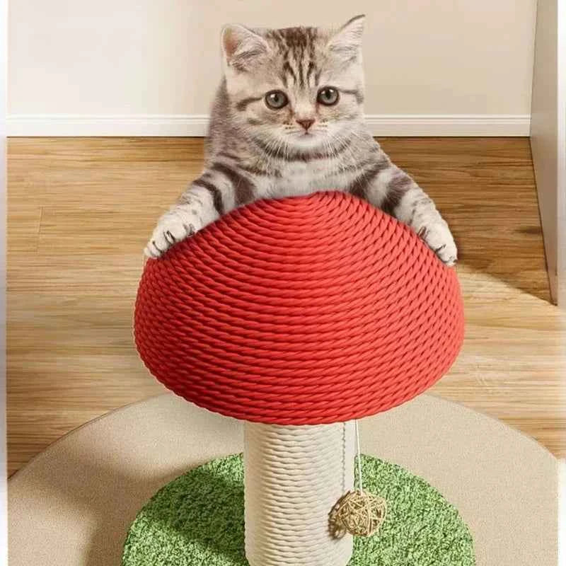 Cat Scratch Board and Climbing Mushroom Mat for Cats and Small Dogs