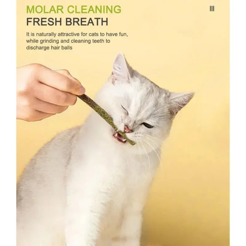 Natural Silvervine Cat Chew Sticks, 6-Pack