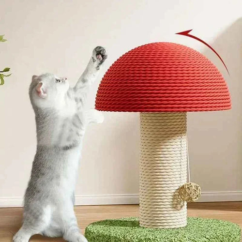 Cat Scratch Board and Climbing Mushroom Mat for Cats and Small Dogs