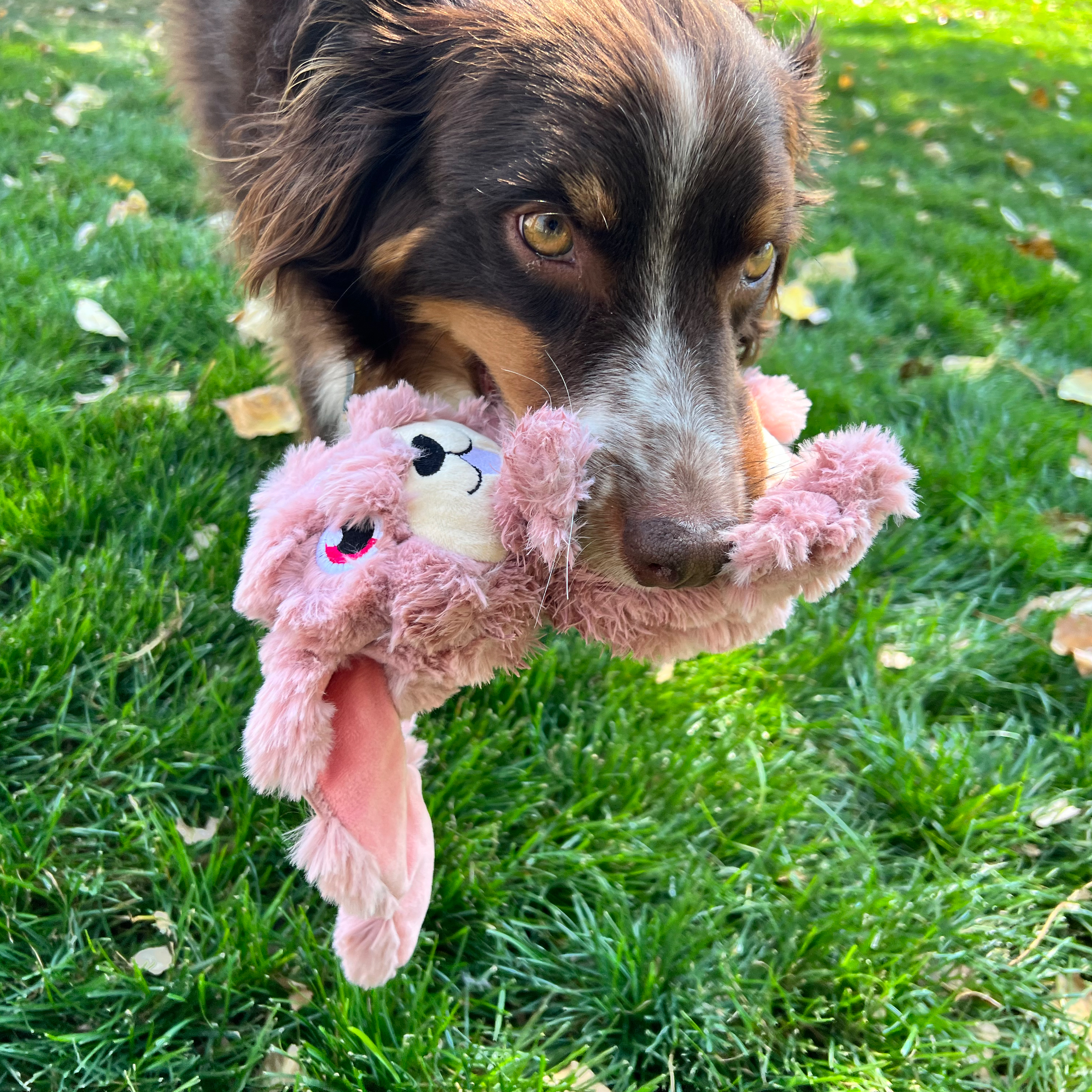 KONG Scrumplez Plush Dog Toy with Sliding Ears and Squeaker