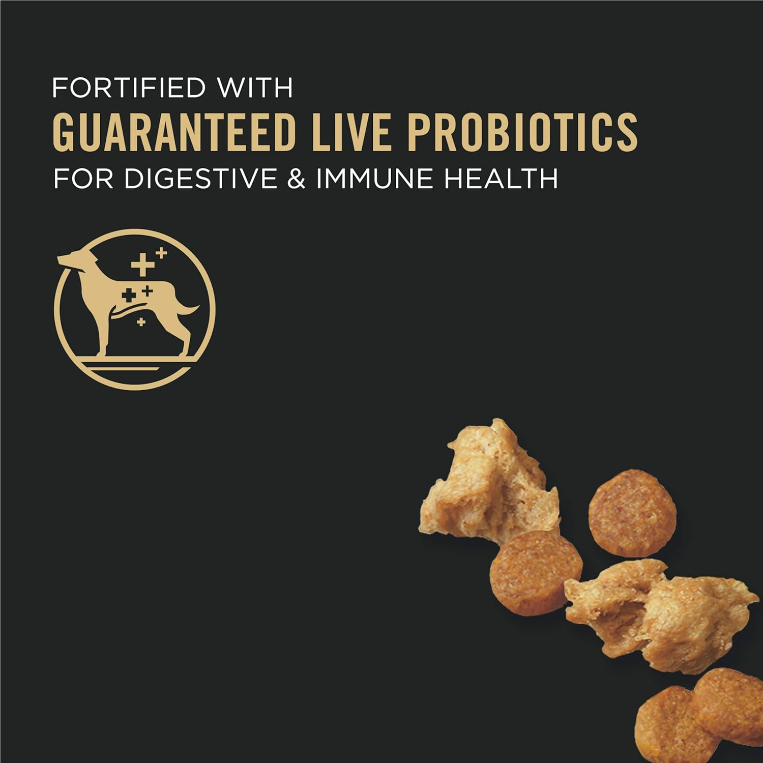 Puppy Dry Dog Food with Chicken and Shredded Pieces