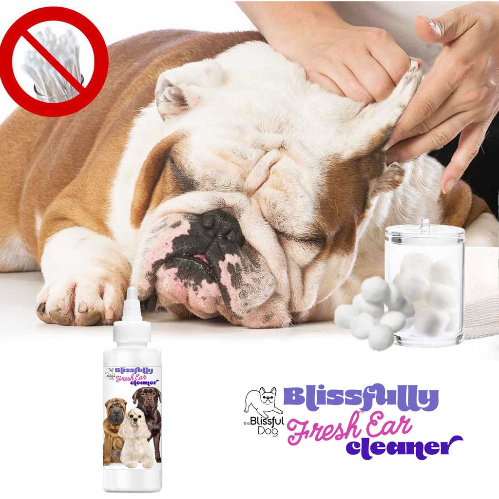 Dog Ear Cleaner with Natural Ingredients for Routine Care
