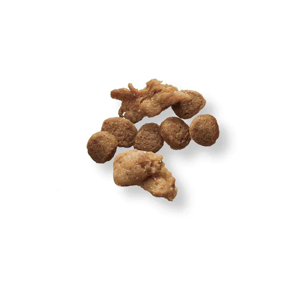 Chicken & Rice Small Breed Dog Food with Crunchy and Shredded Pieces