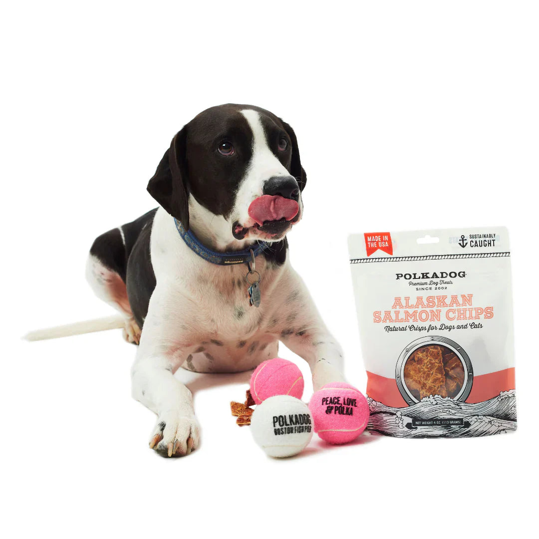 Alaskan Salmon Chips Dog Treats – 100% Wild-Caught Salmon