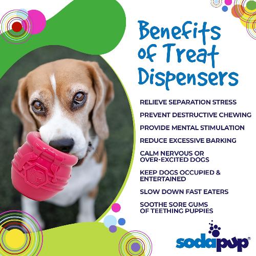 Honey Pot PUP-X Rubber Treat Dispenser & Enrichment Toy for Dogs