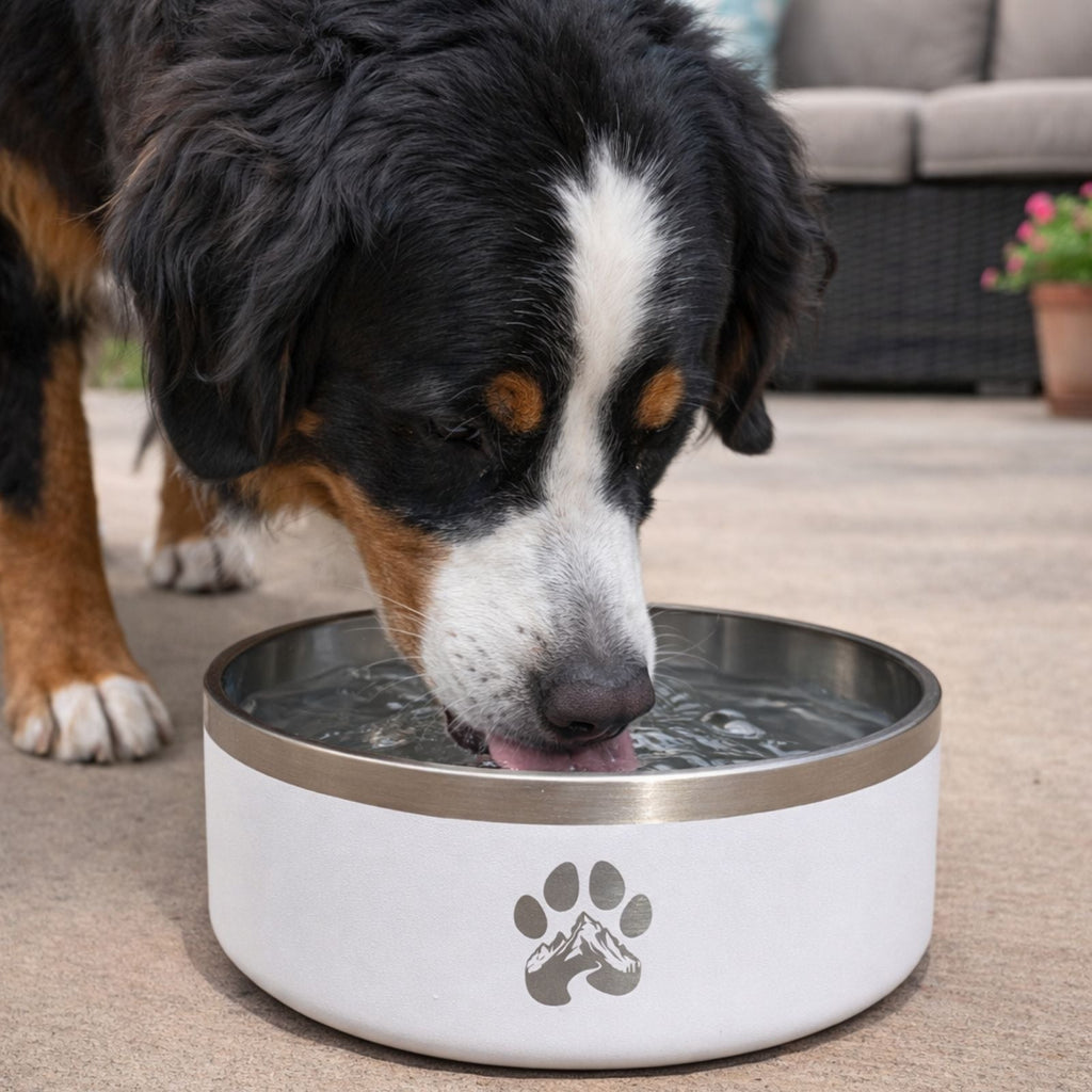 Stainless Steel Dog Bowl with Non-Slip Base