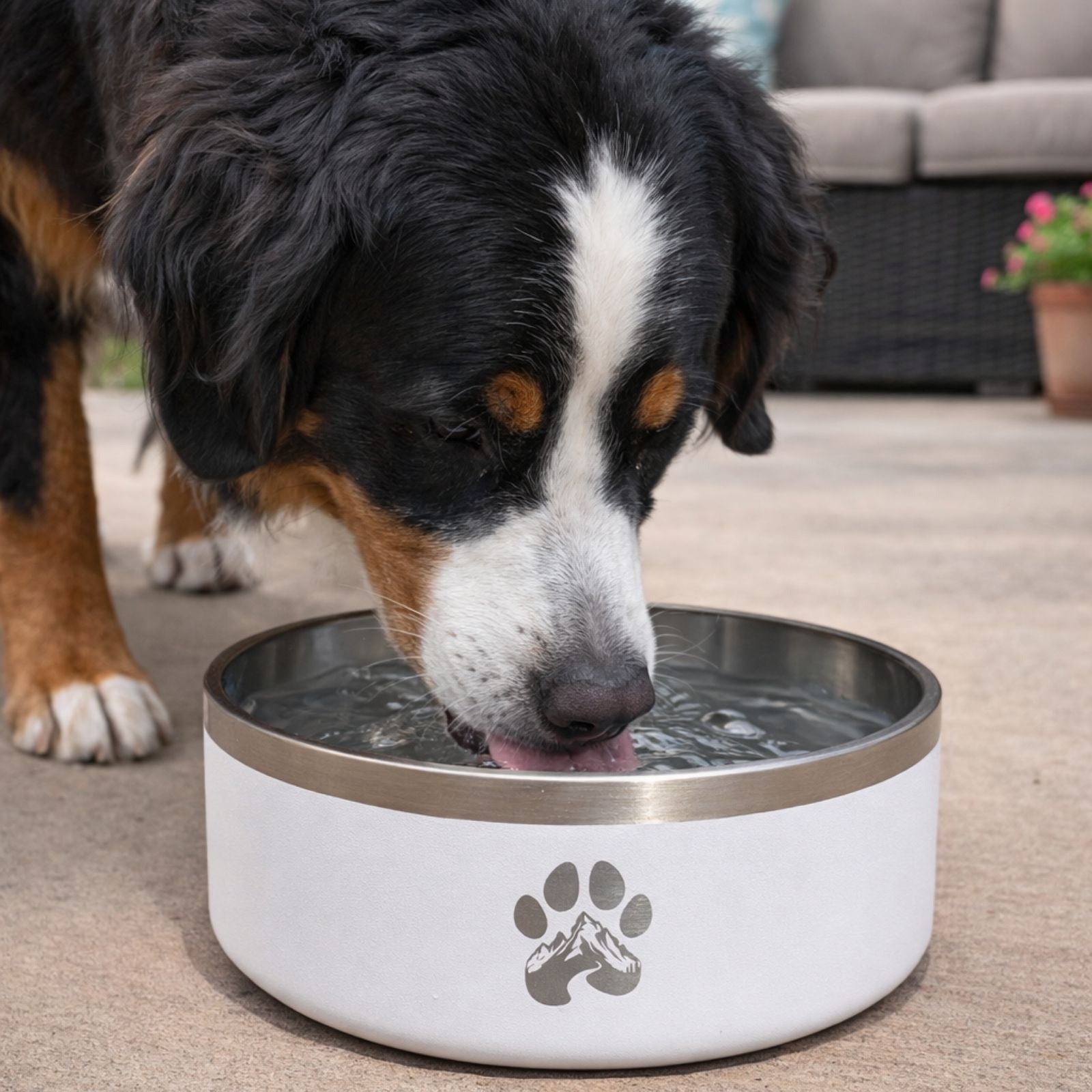 Stainless Steel Dog Bowl with Non-Slip Base
