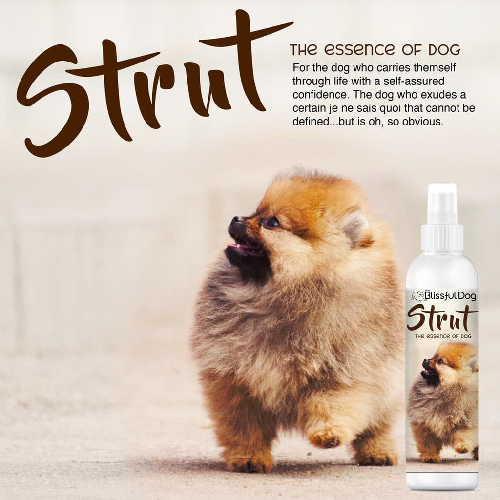 STRUT Dog Cologne Spray with Amaretto and Tonka Bean Scent