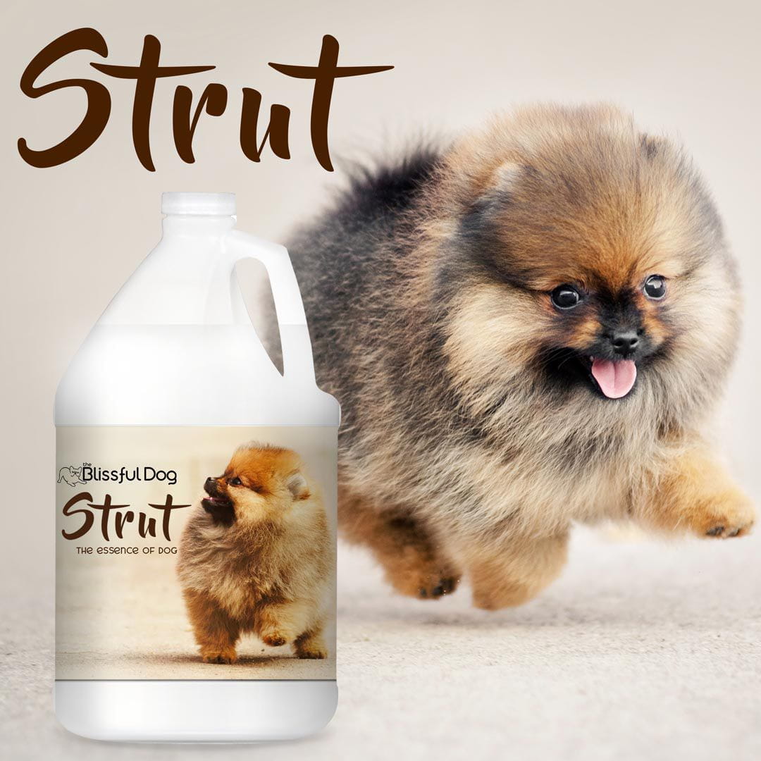 STRUT Dog Cologne Spray with Amaretto and Tonka Bean Scent