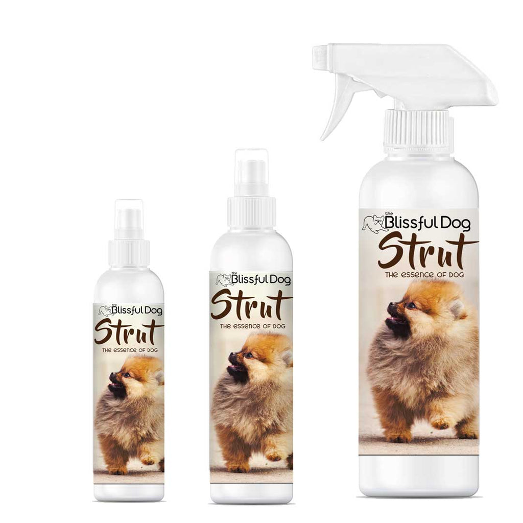 STRUT Dog Cologne Spray with Amaretto and Tonka Bean Scent