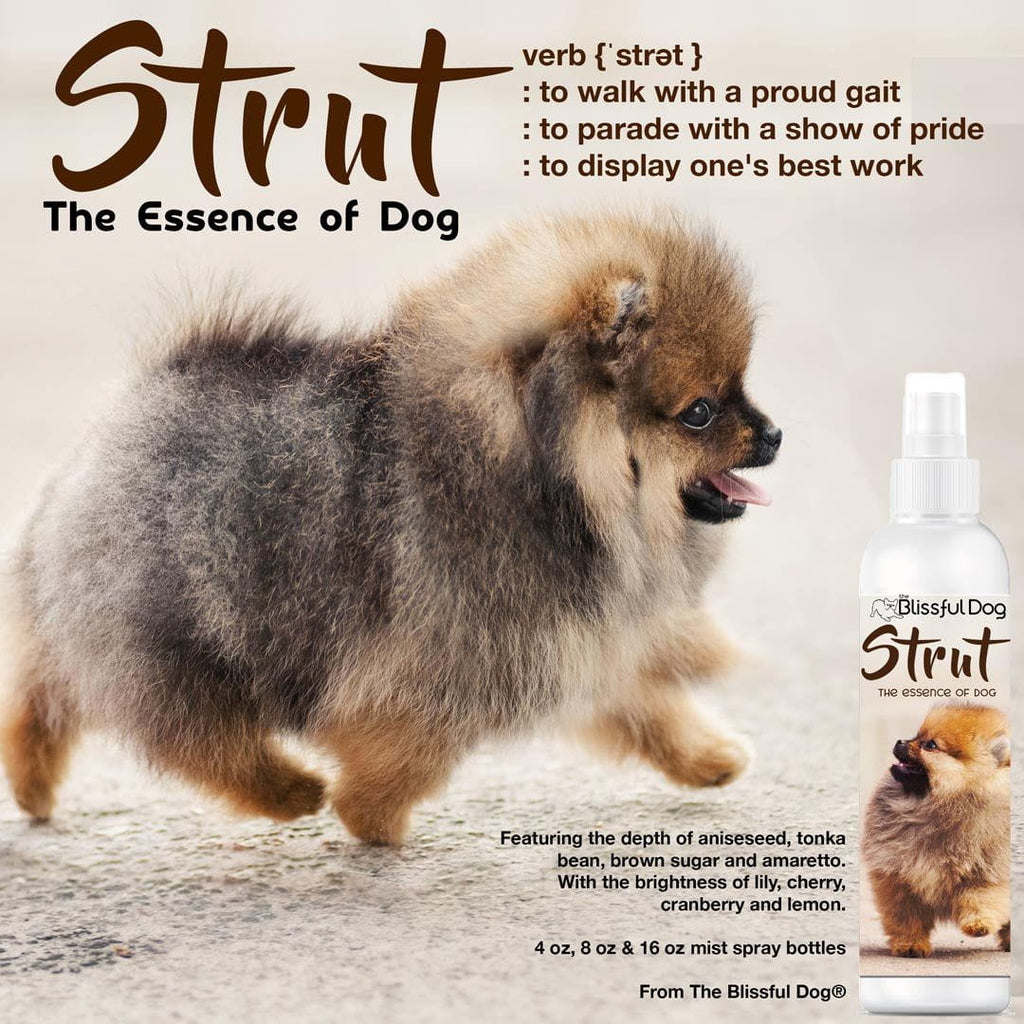 STRUT Dog Cologne Spray with Amaretto and Tonka Bean Scent
