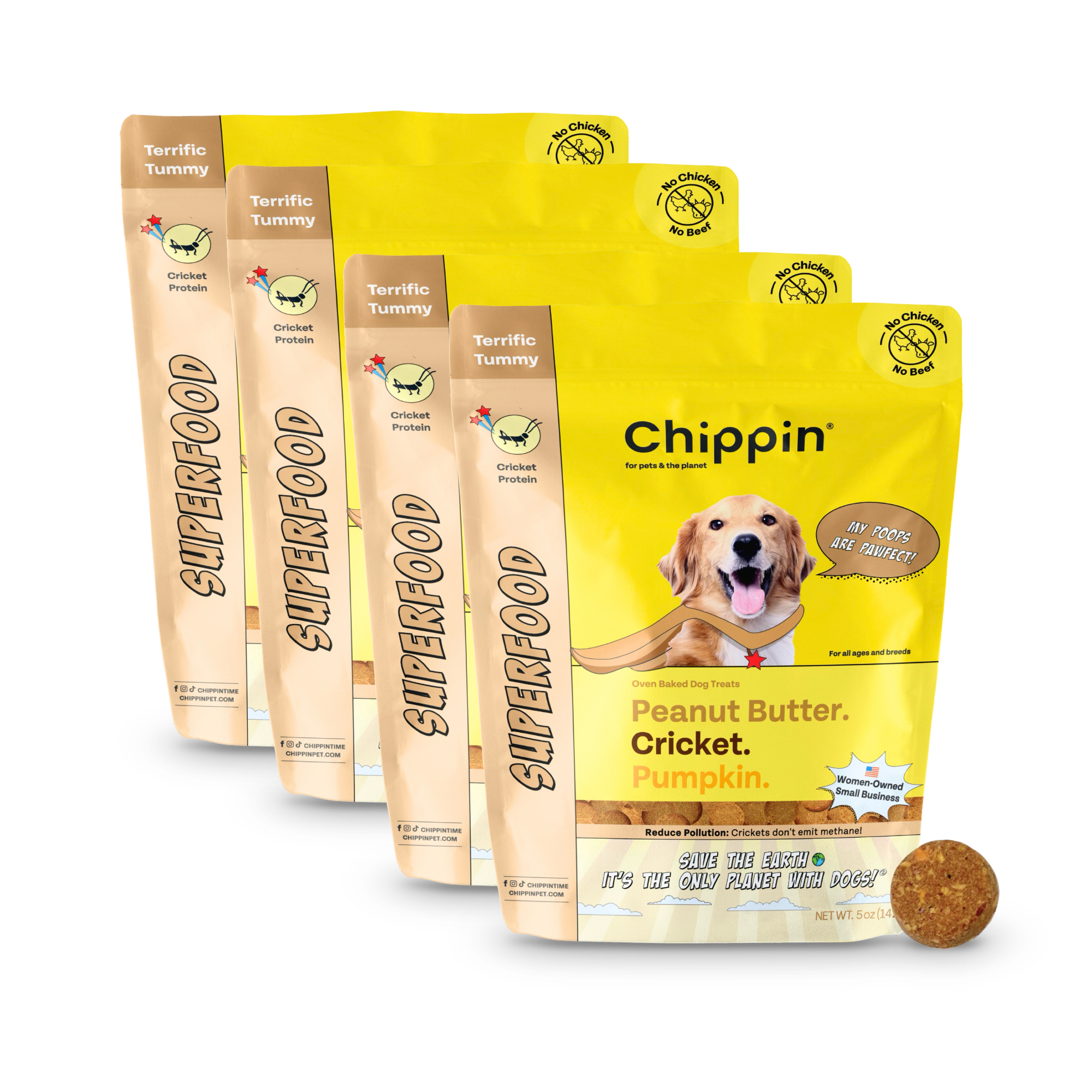 Oven-Baked Cricket Protein Dog Treats with Pumpkin & Oats