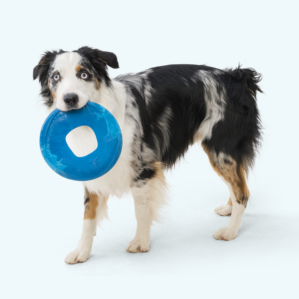 Seaflex® Dog Flying Disc with Center Hole