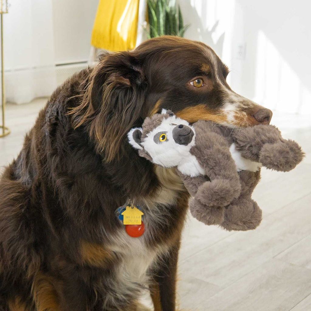 KONG Scampers Wildlife Plush Dog Toy with Squeaker