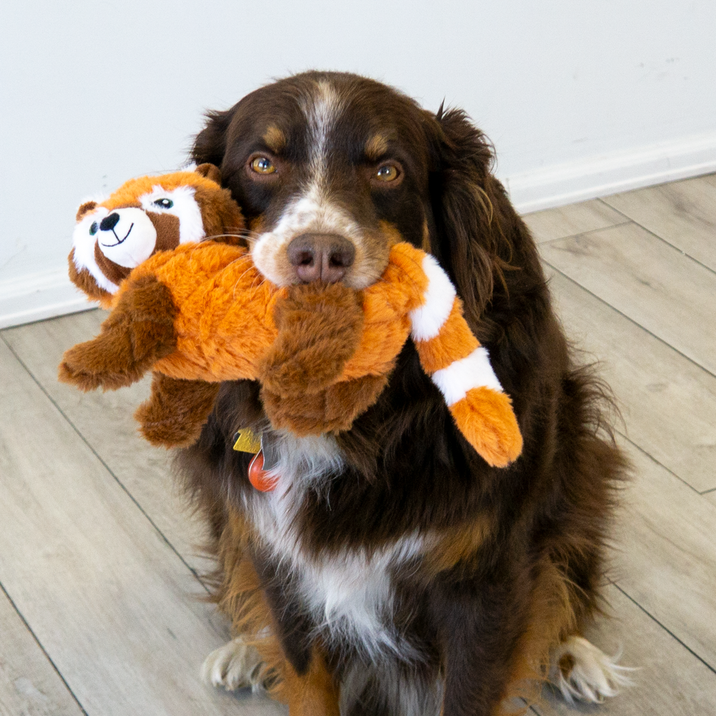 KONG Scampers Plush Wildlife Dog Toy with Squeaker