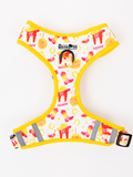 Disco Cowgirl Adjustable Dog Harness – Nashville Inspired
