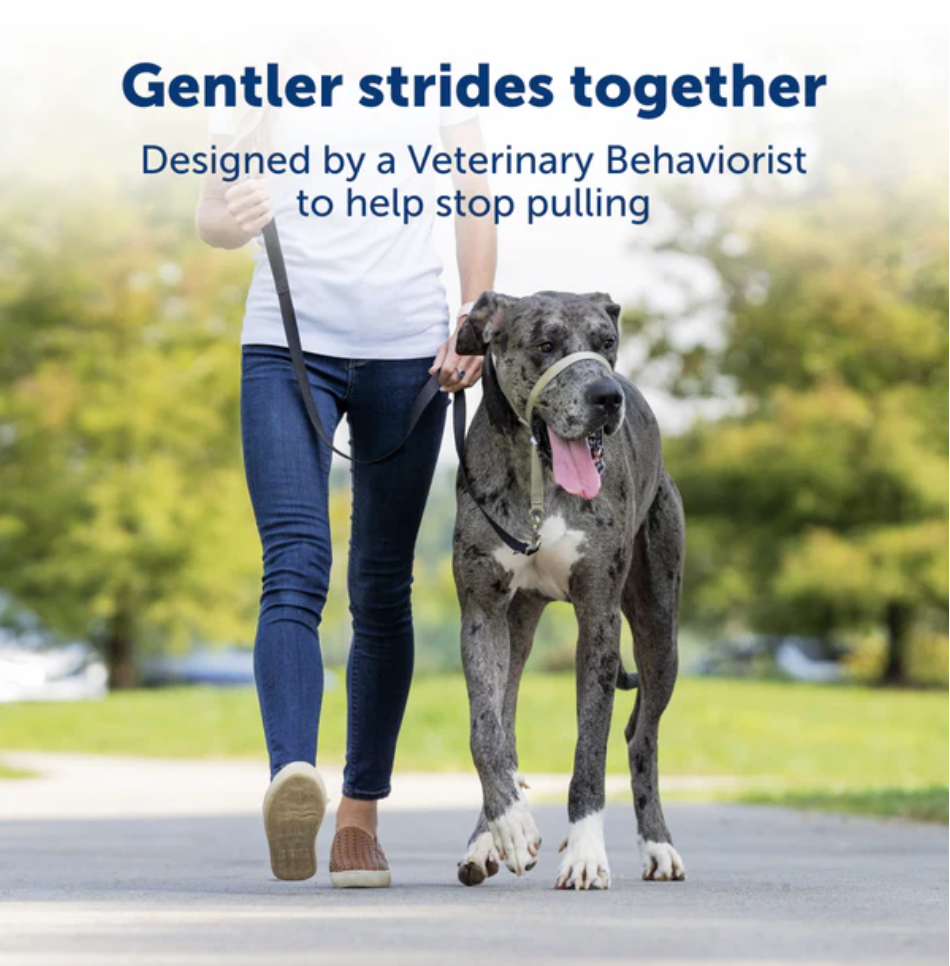 Gentle Leader Headcollar for Dogs – No-Pull, Adjustable Fit