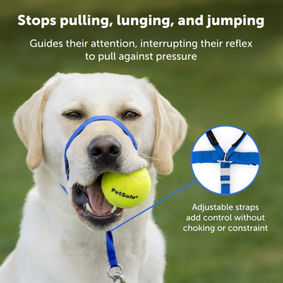 Gentle Leader Headcollar for Dogs – No-Pull, Adjustable Fit