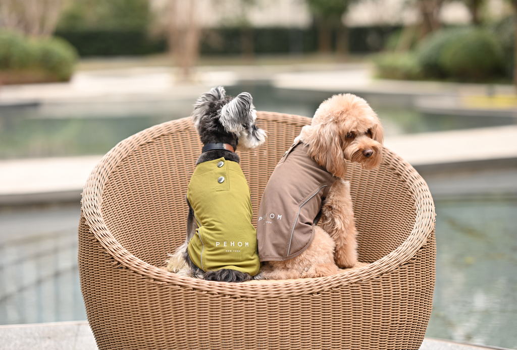 Lightweight Reflective Pet Raincoat with Adjustable Straps