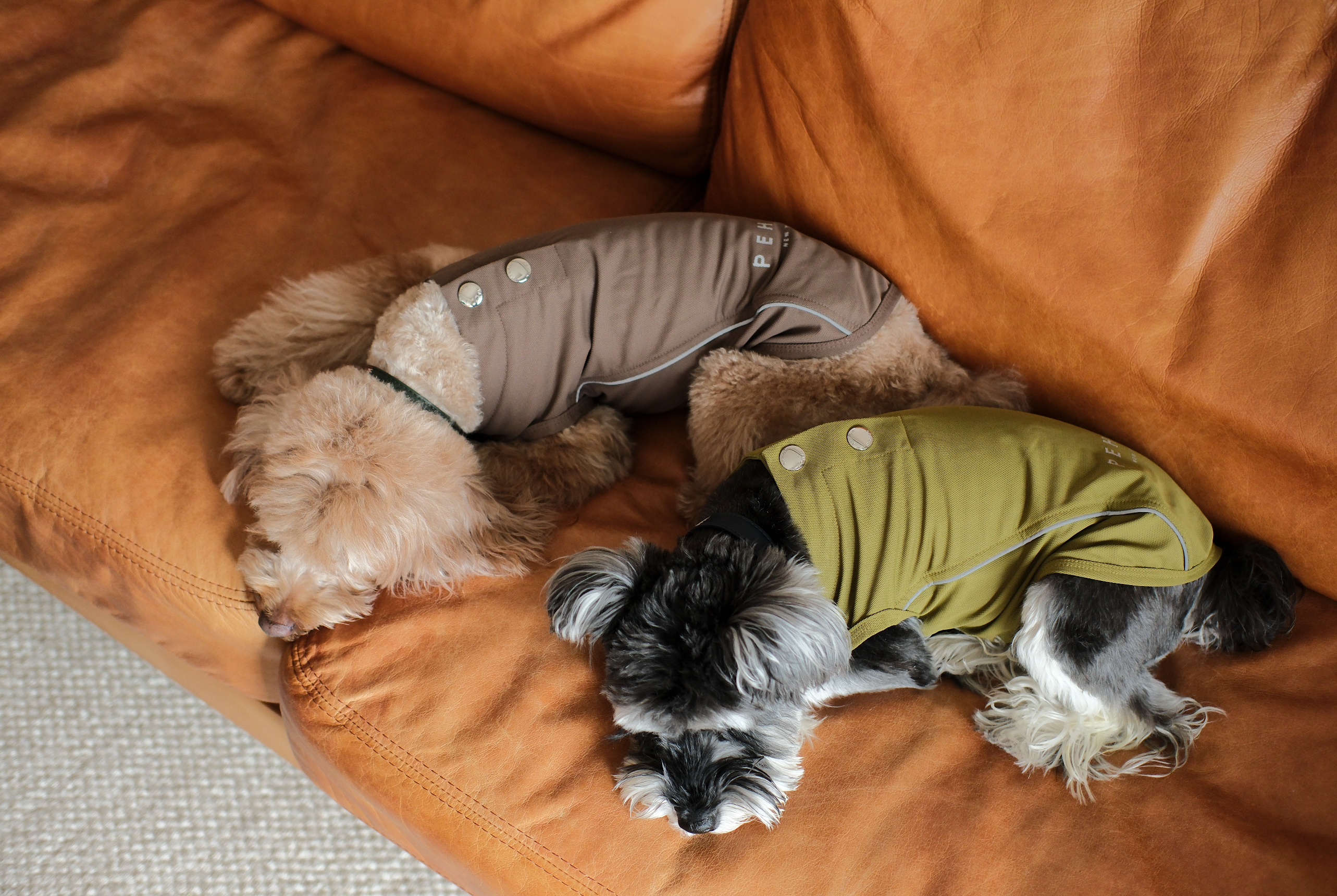 Lightweight Reflective Pet Raincoat with Adjustable Straps