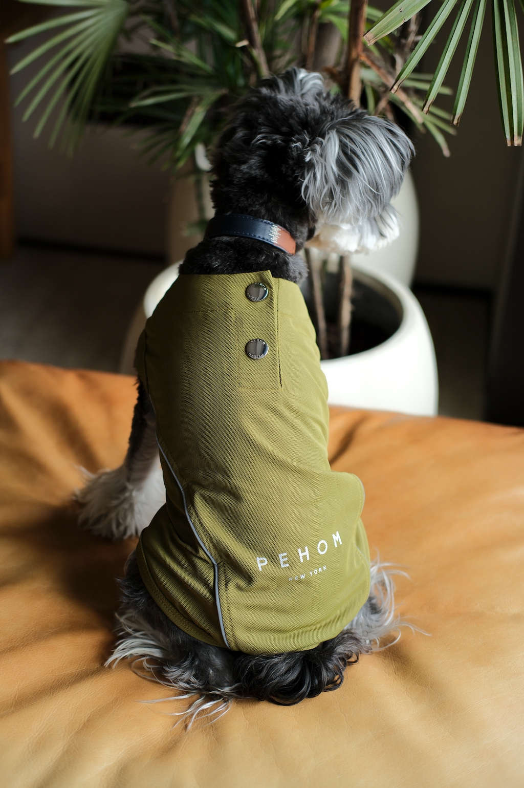 Lightweight Reflective Pet Raincoat with Adjustable Straps