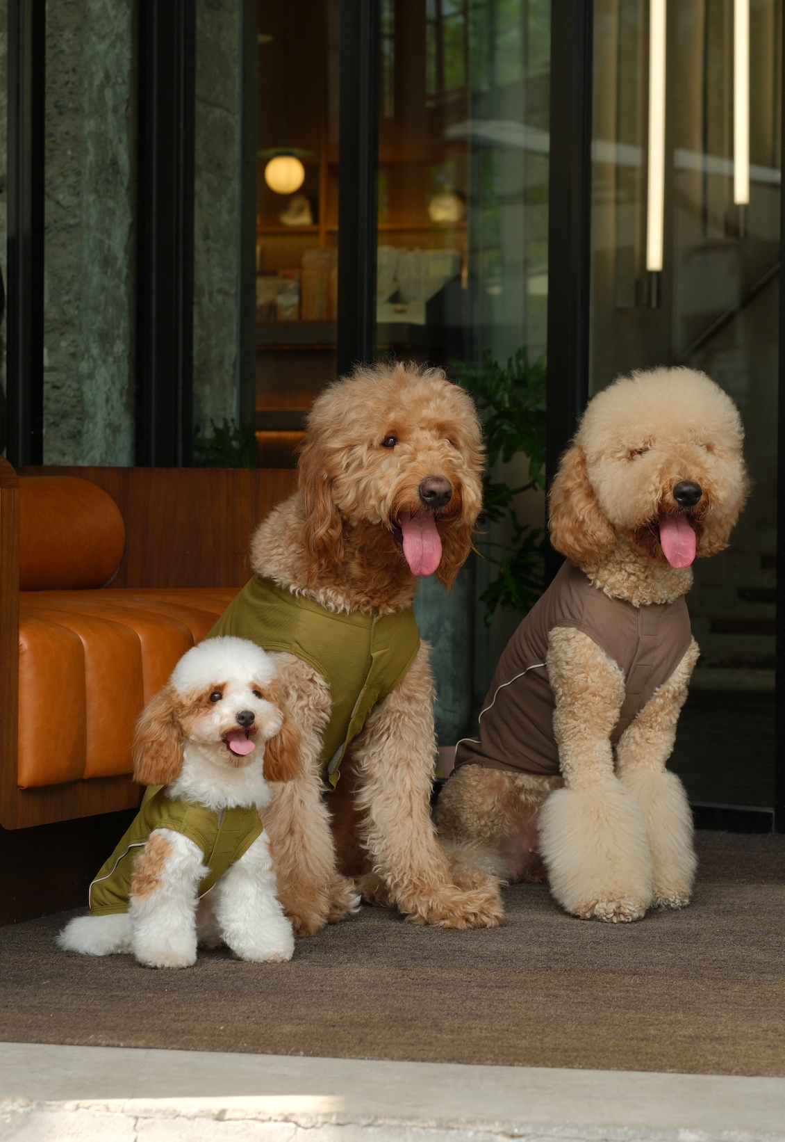 Lightweight Reflective Pet Raincoat with Adjustable Straps
