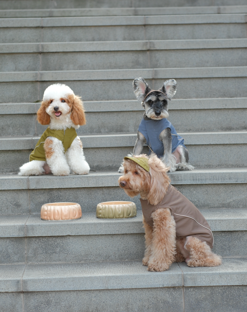 Lightweight Reflective Pet Raincoat with Adjustable Straps