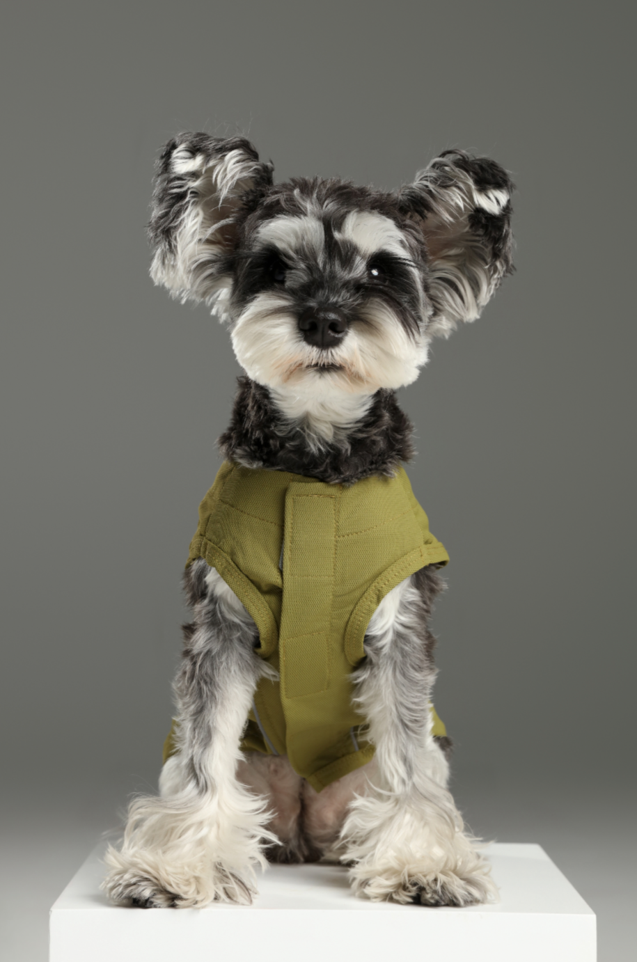 Lightweight Reflective Pet Raincoat with Adjustable Straps