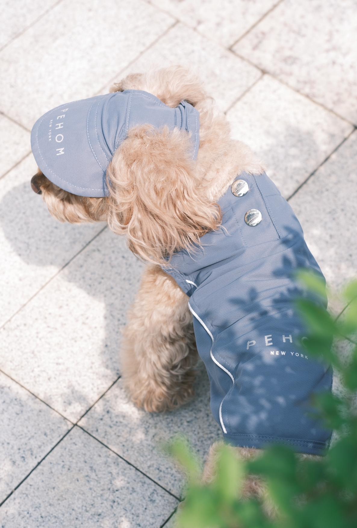 Reflective Brim Knit Pet Hat with Adjustable Chin Strap