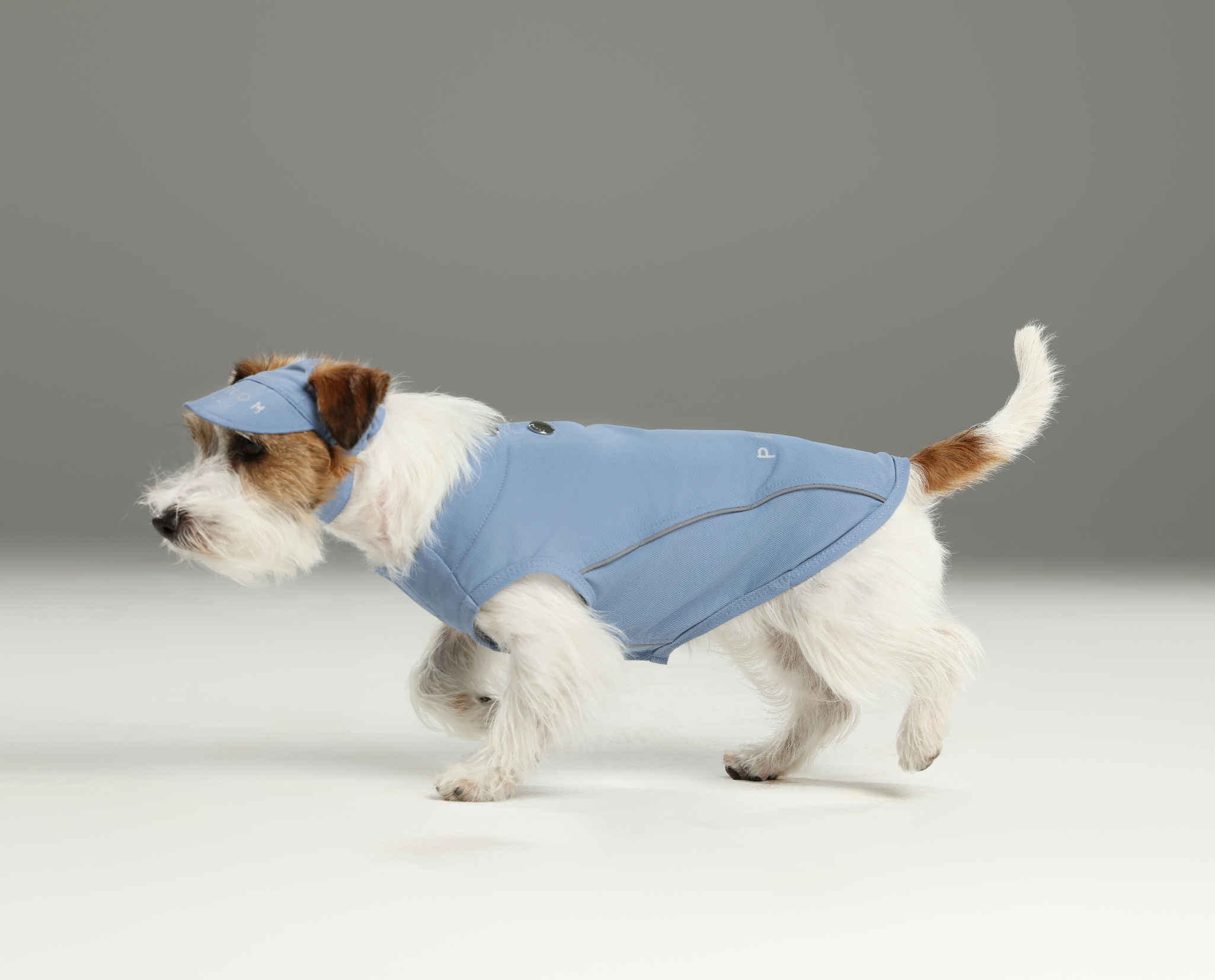 Reflective Brim Knit Pet Hat with Adjustable Chin Strap