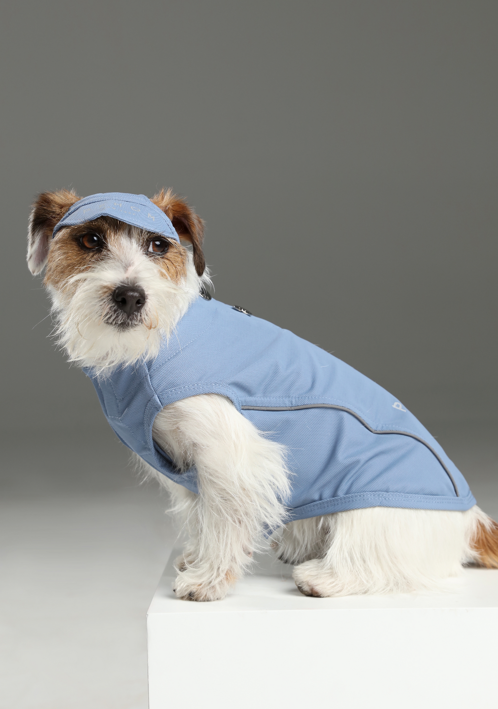 Reflective Brim Knit Pet Hat with Adjustable Chin Strap