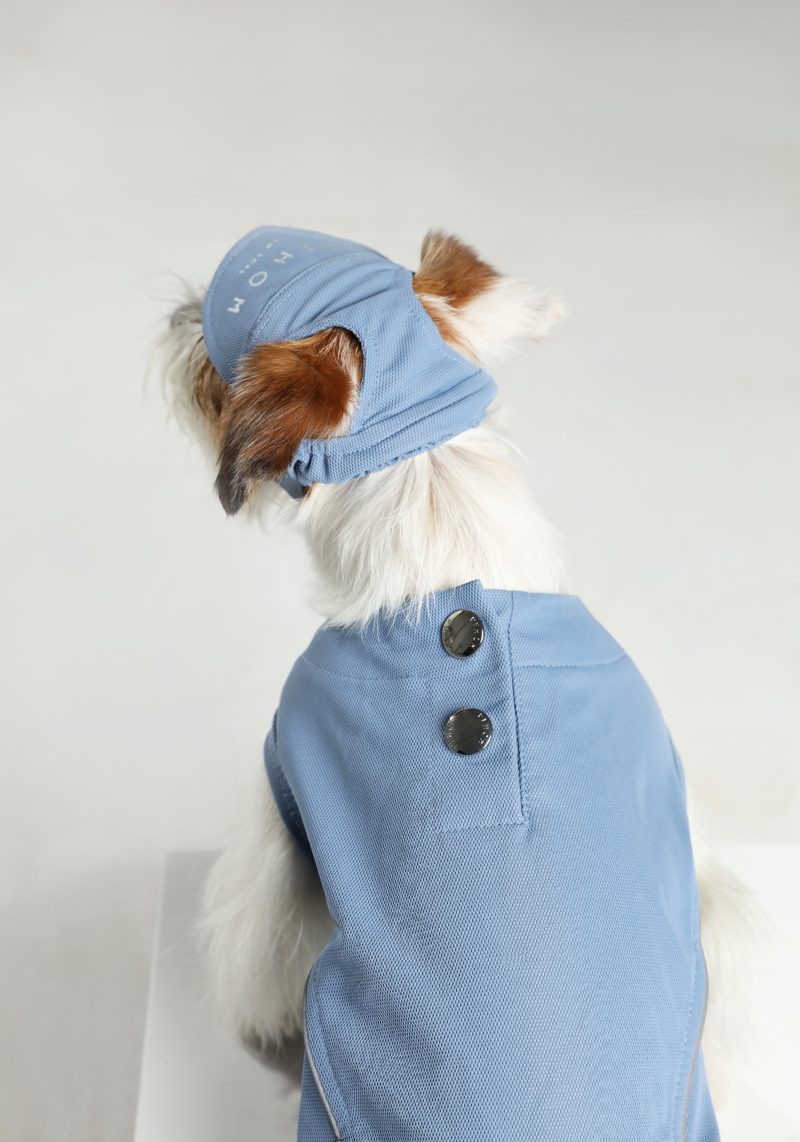 Reflective Brim Knit Pet Hat with Adjustable Chin Strap