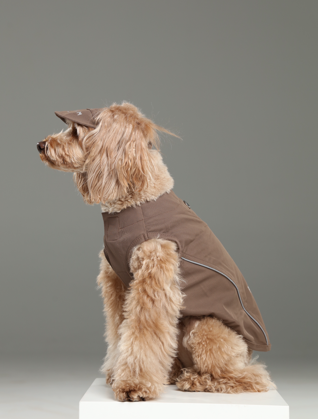 Reflective Brim Knit Pet Hat with Adjustable Chin Strap