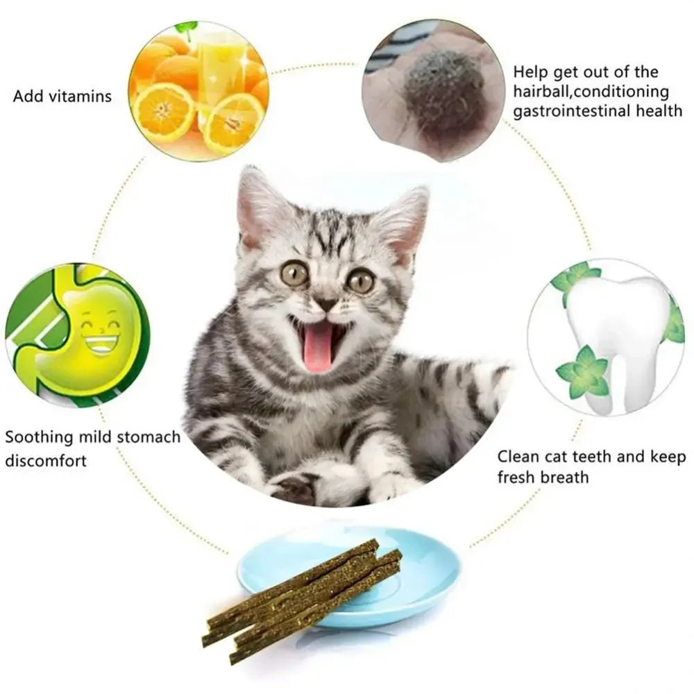 Natural Silvervine Cat Chew Sticks, 6-Pack