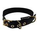 Seatbelt Dog Collar – Automotive-Grade Webbing, Brass Hardware