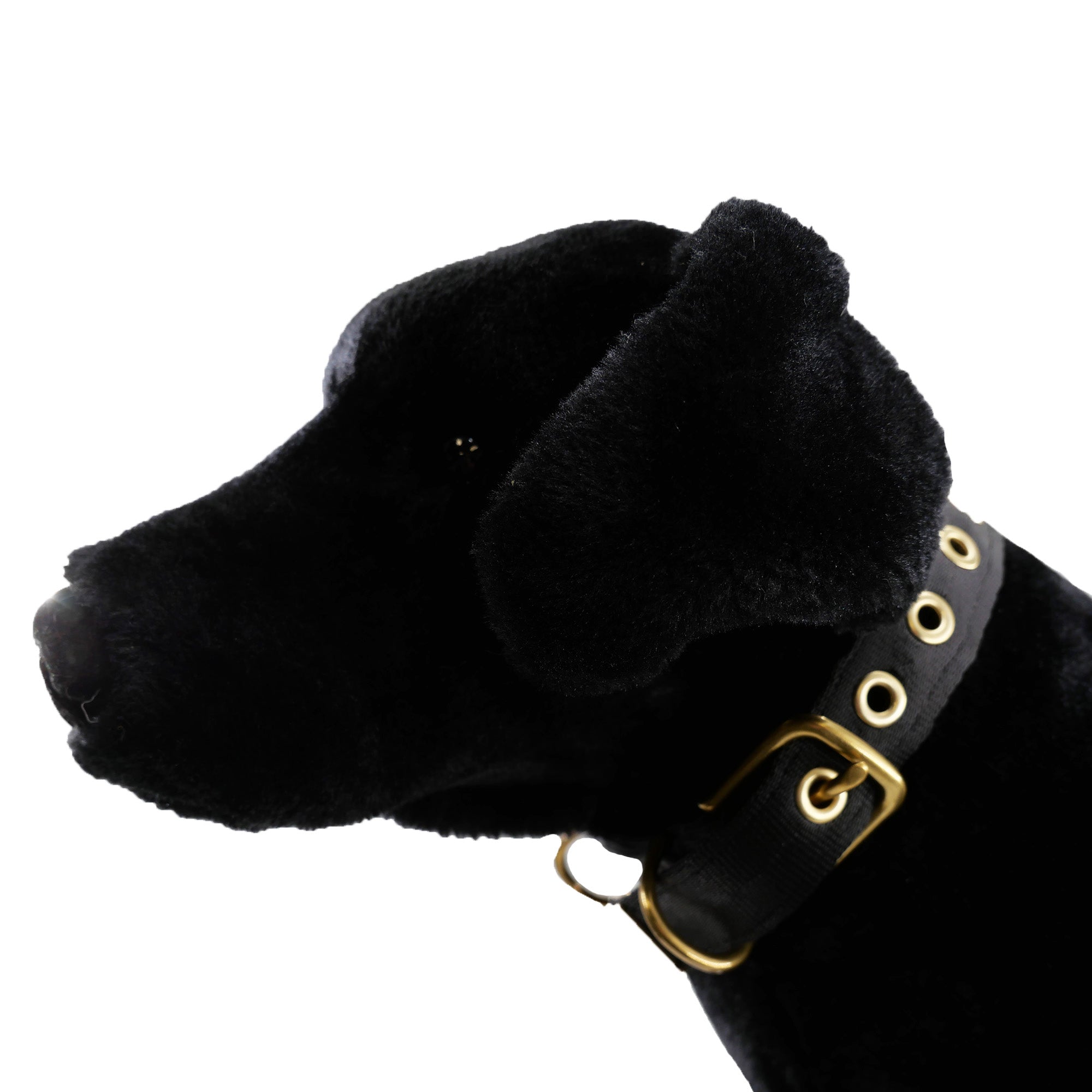 Seatbelt Dog Collar – Automotive-Grade Webbing, Brass Hardware