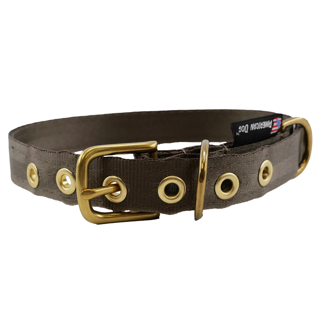 Seatbelt Dog Collar – Automotive-Grade Webbing, Brass Hardware