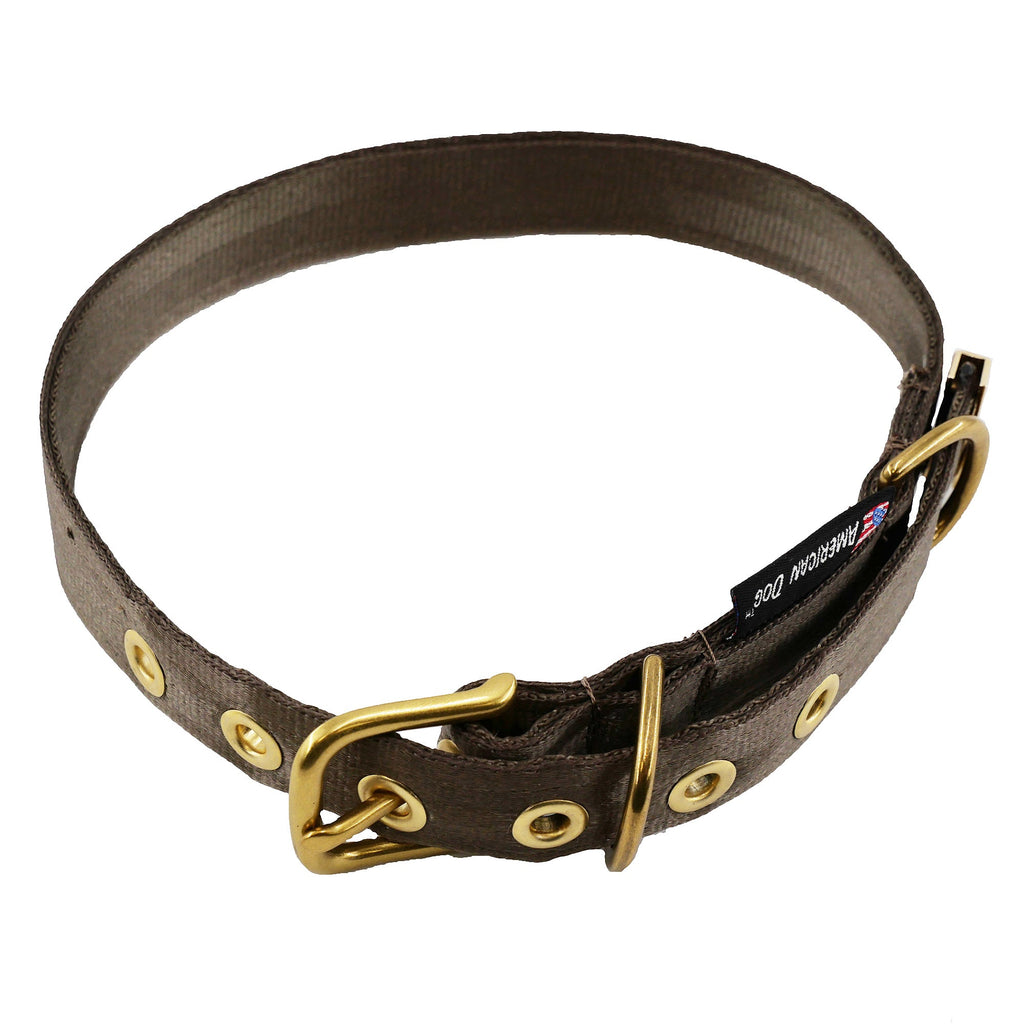 Seatbelt Dog Collar – Automotive-Grade Webbing, Brass Hardware