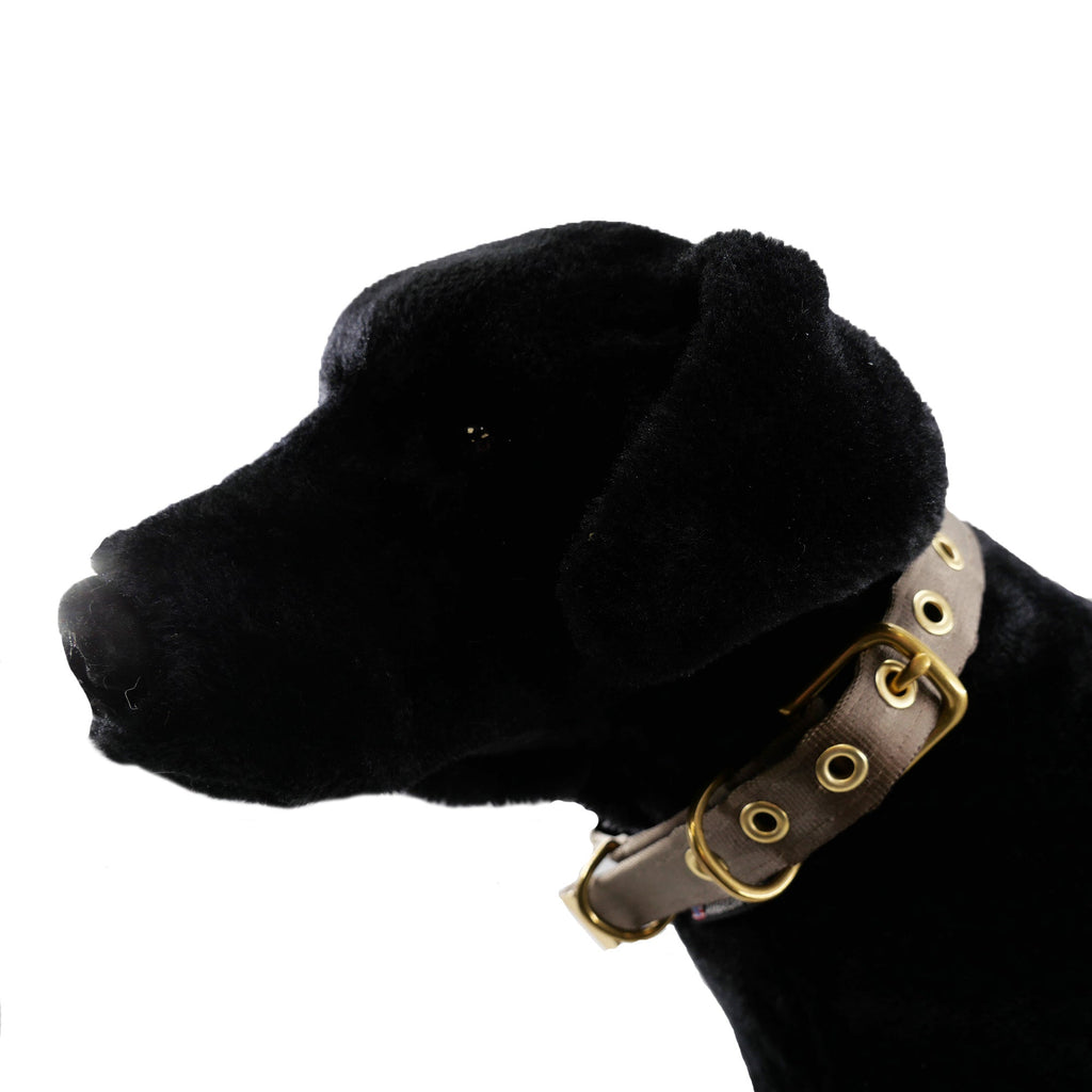 Seatbelt Dog Collar – Automotive-Grade Webbing, Brass Hardware