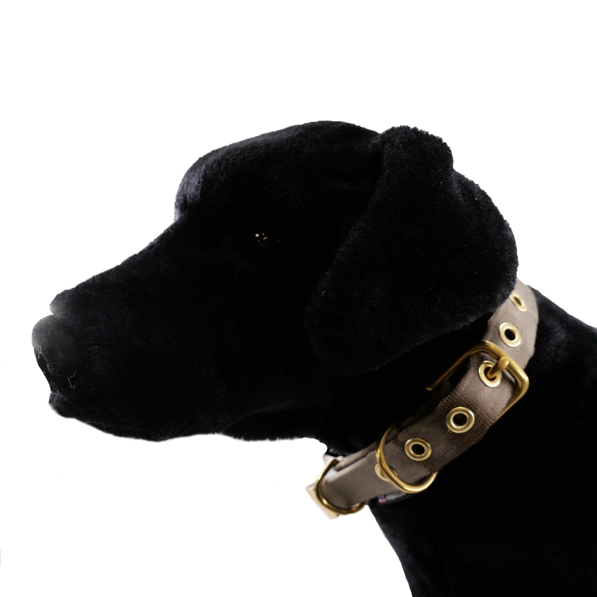 Seatbelt Dog Collar – Automotive-Grade Webbing, Brass Hardware