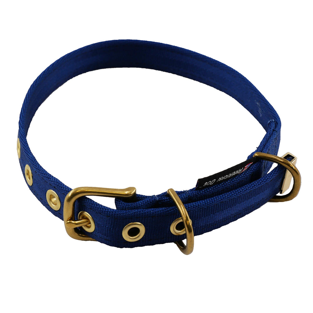 Seatbelt Dog Collar – Automotive-Grade Webbing, Brass Hardware